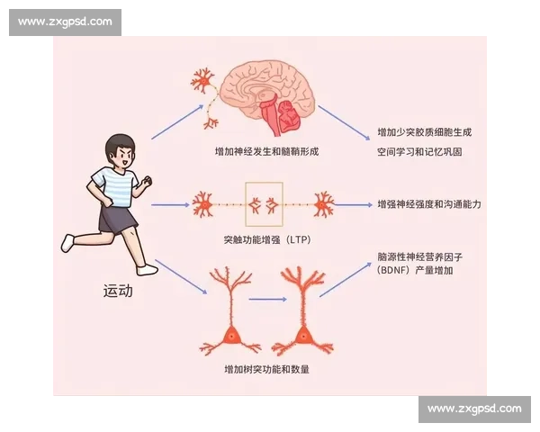 体育科学在运动表现提升与运动伤害预防中的创新应用研究 体育科学在运动表现提升与运动伤害预防中的创新应用研究